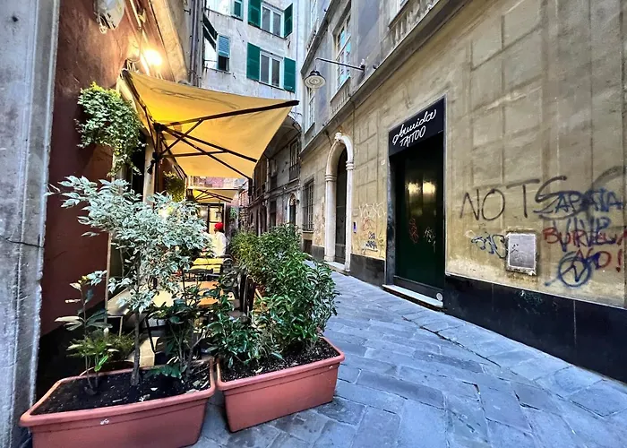 La Casa Di Zuli By World * Janov